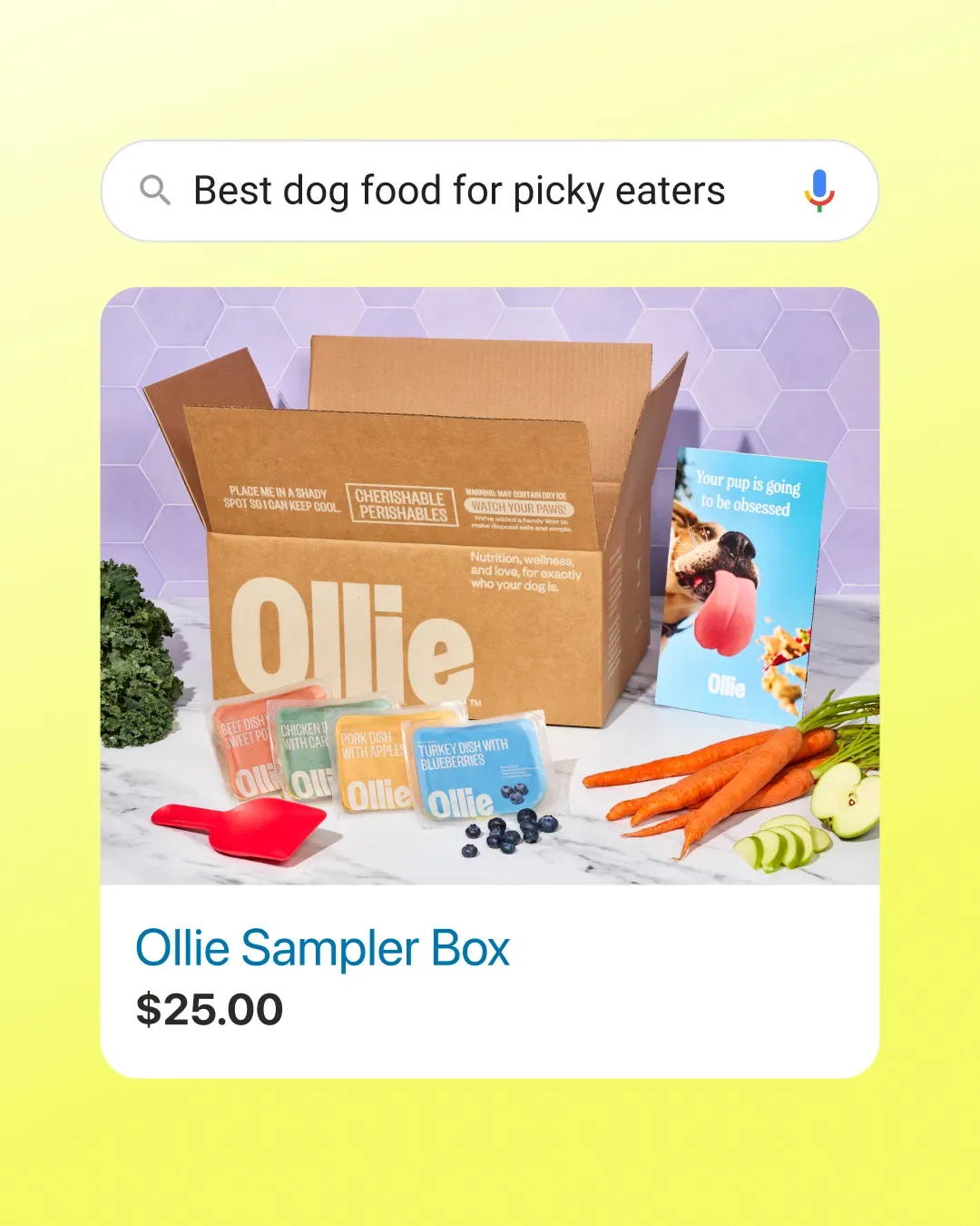 Dog food ad example: Ollie ad styled as a search bar for best dog food for picky eaters with an Ollie sampler box result at $25