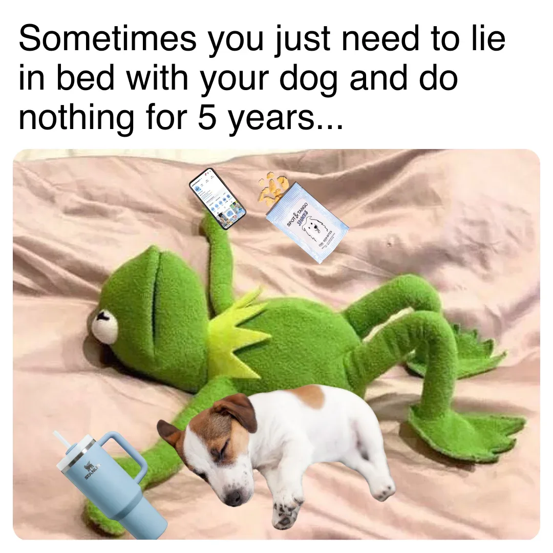 Pet ad example: Spot and Tango meme with Kermit the Frog plush and a puppy lying on a bed under a caption about doing nothing for 5 years