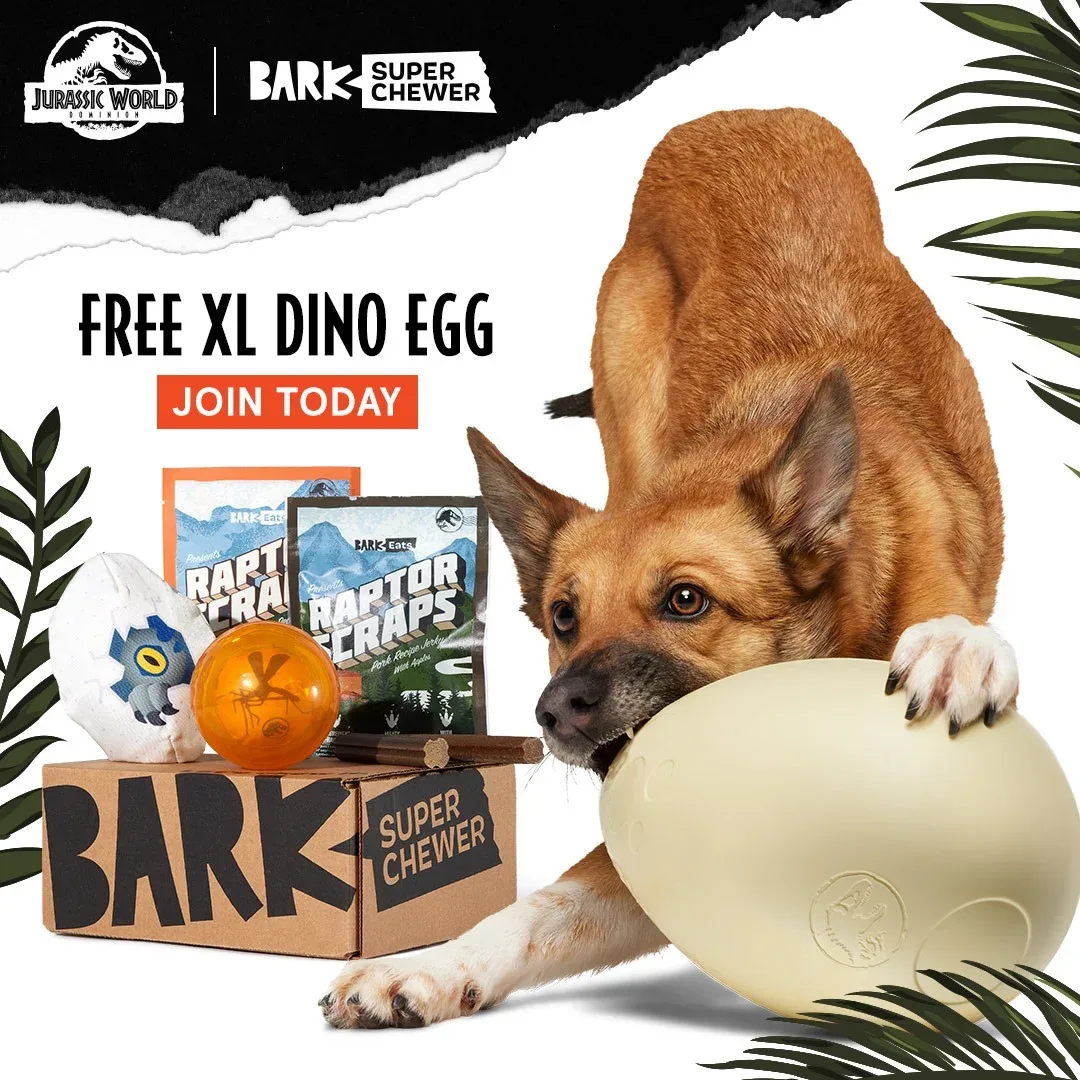 Dog toy ad example: BARK Super Chewer and Jurassic World collaboration with a dog biting a giant dino egg toy and a free XL dino egg offer