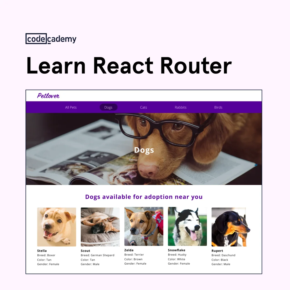 Codecademy Learn React Router ad showing the Petlover demo app students build in the course