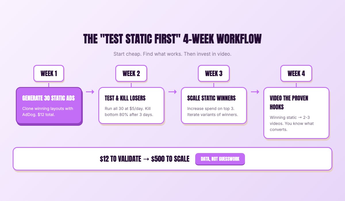 Timeline diagram showing the 4-week test-static-first workflow from static testing to video scaling